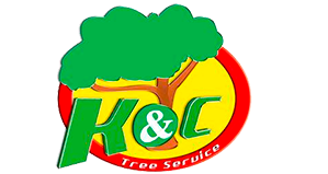 Tree Trimming Salt Lake City – Tree services Removal West Valley City – Tree Services In Utah –